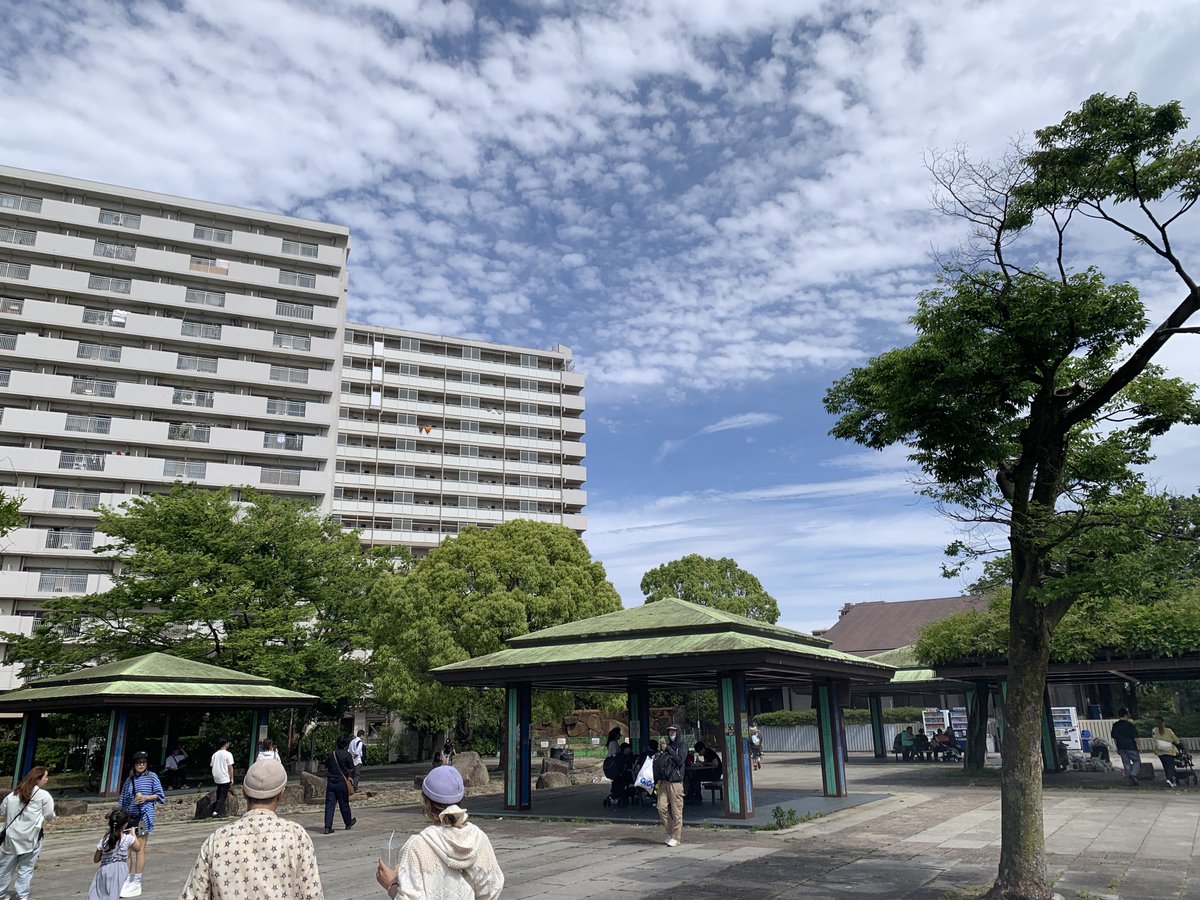 奥脇Cheppelinミツノブ₊✼̥୭ tweet media