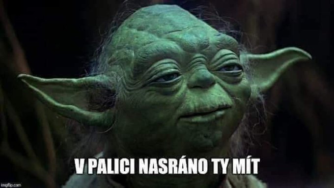 KolekRobert tweet media