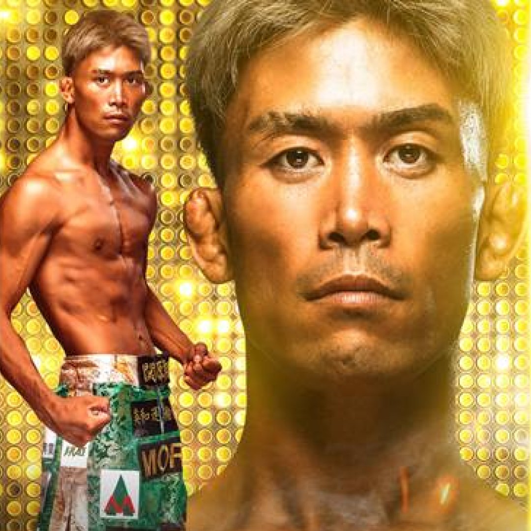 ファイトメモリー | Fight Memory tweet media