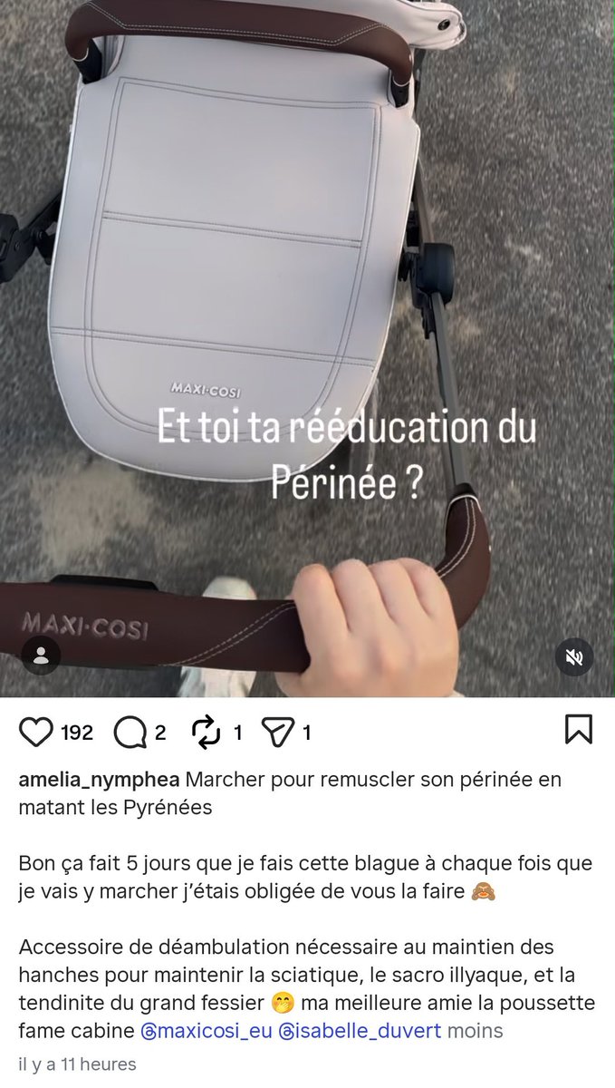 Amelia, la bagarre tweet media