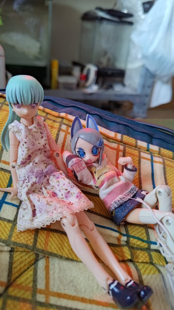 でんせつのせんし tweet media