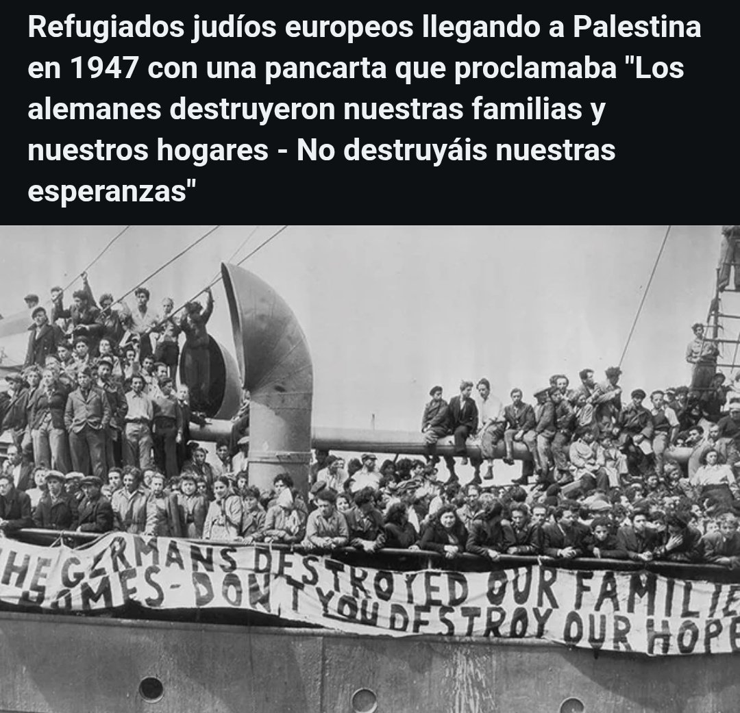 La 0veja Negra tweet media