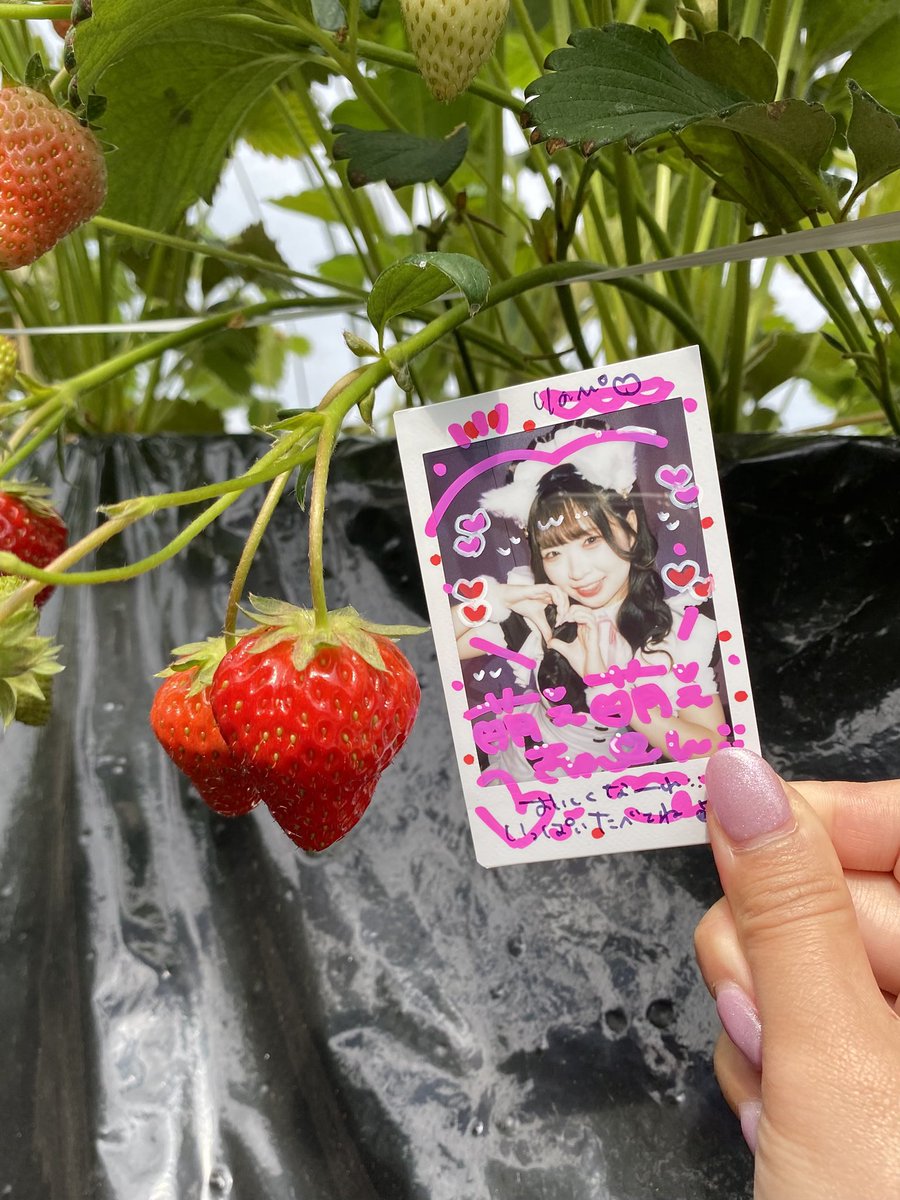 ゆ tweet media