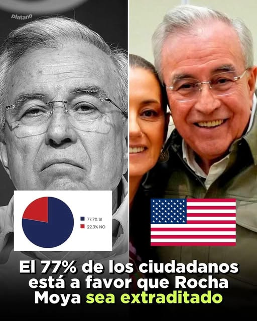 DRA. MERCEDES PAVON "SUPERMUELITA FIFÍ" tweet media