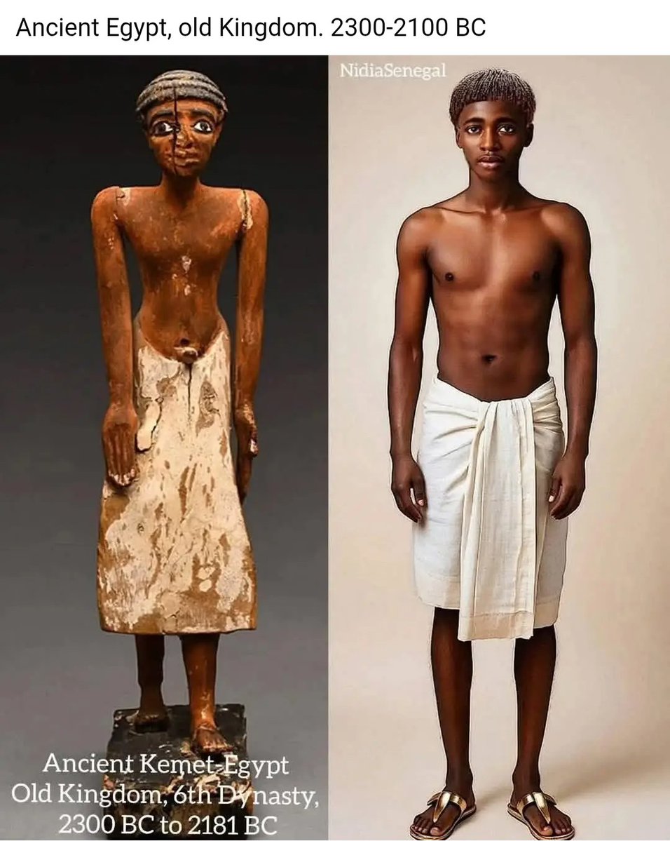 The African History School tweet media