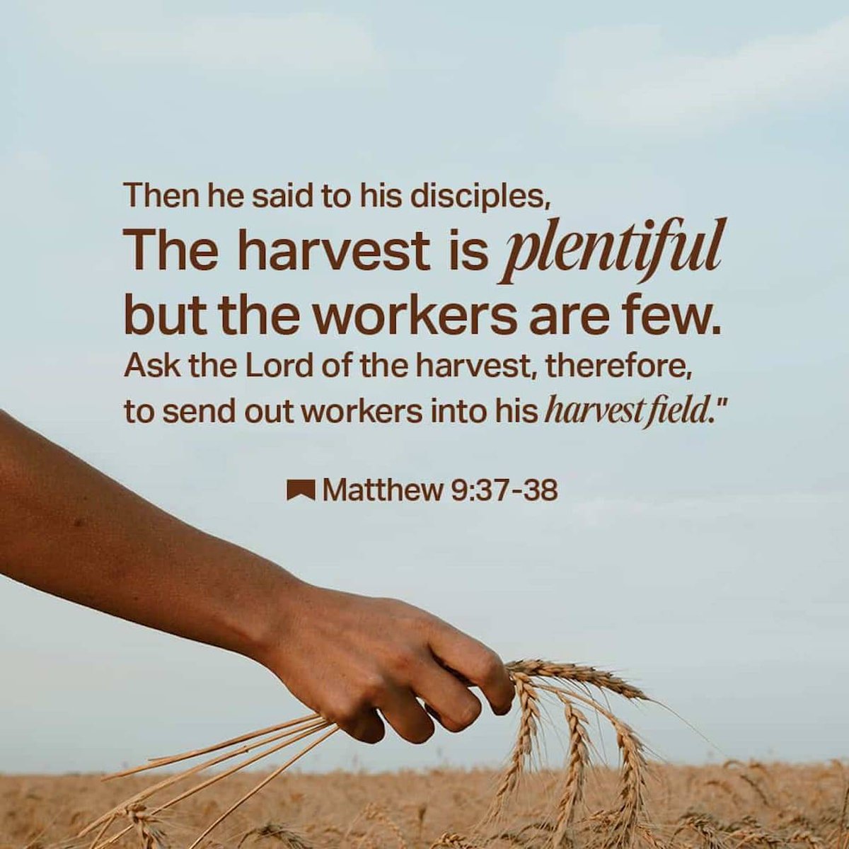 patsamkat's tweet image. Mattityahu (Mat) 9:37-38 CJB
[37] Then he said to his talmidim, “The harvest is rich, but the workers are few. [38] Pray that the Lord of the harvest will send out workers to gather in his harvest.”
#VerseOfTheDay #WordOfGOD