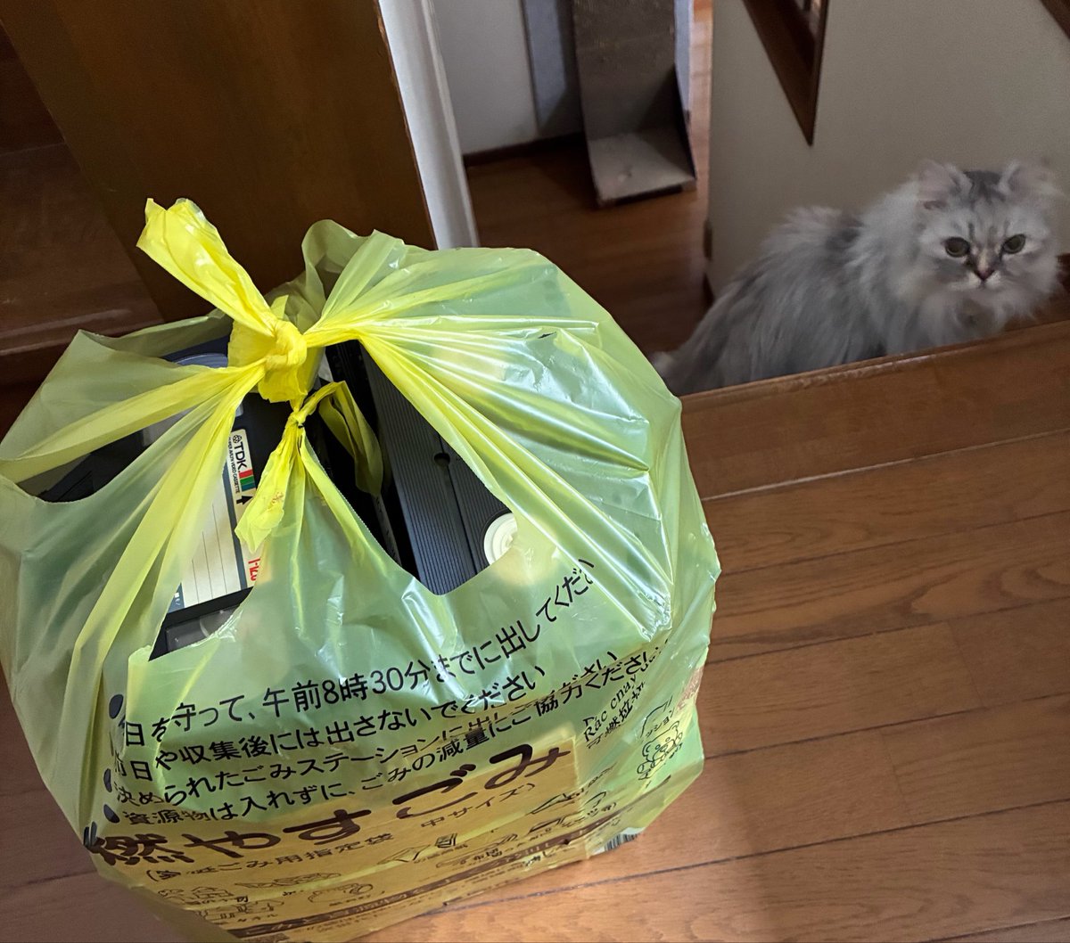 断捨離 断捨離
