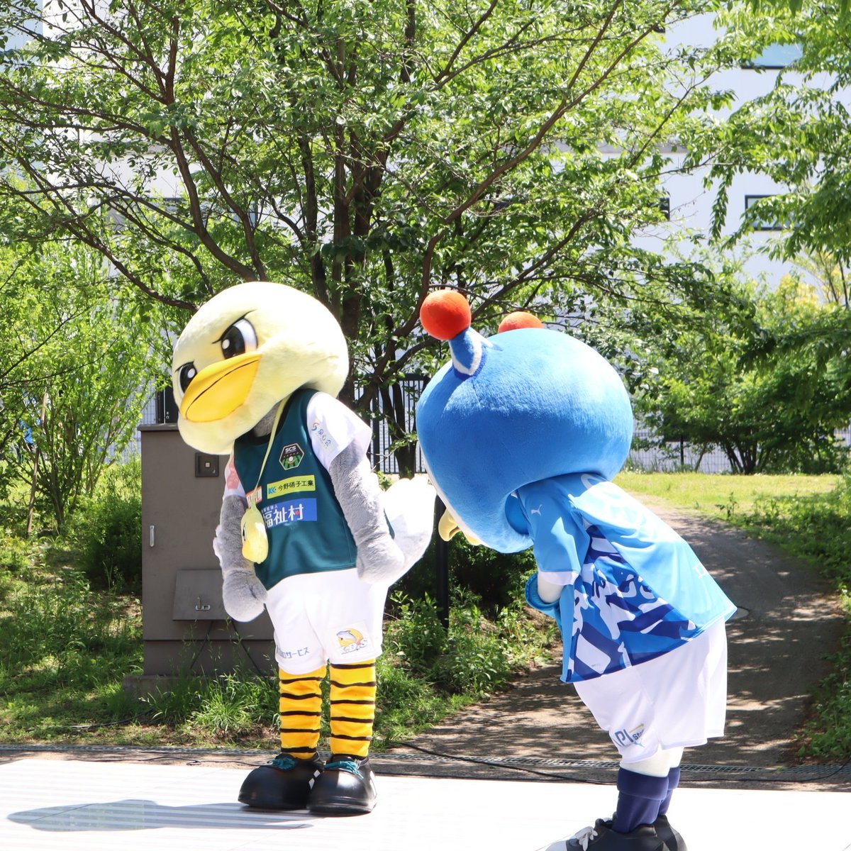 randonneesan's tweet image. ガミティパイセンによる社会人としてのマナー講座
その1：お辞儀の角度(会釈)
#フリ丸  #yokohamafc 
#ガミティ #SC相模原