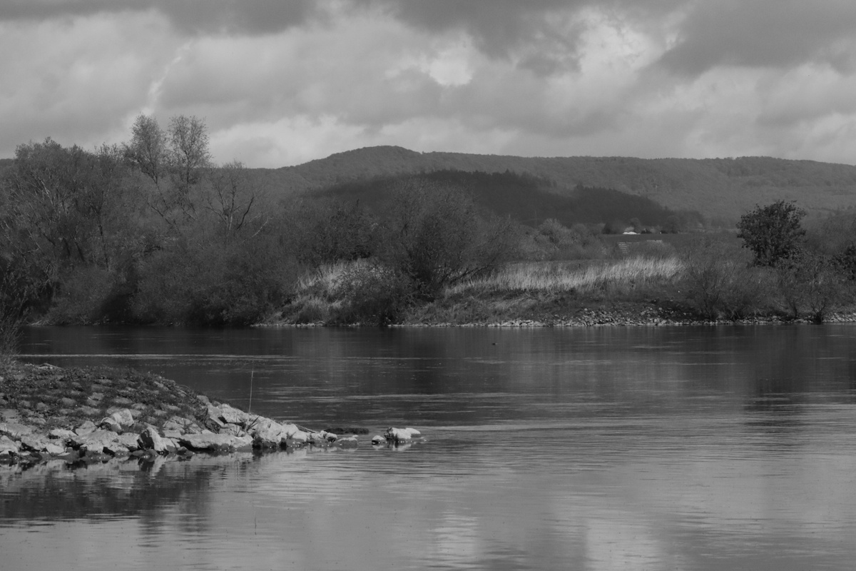 DrCKaiser's tweet image. #photo #Photography #landscape #monochrome #blackandwhite #trees #river #blackandwhitephotography #landscapephotography