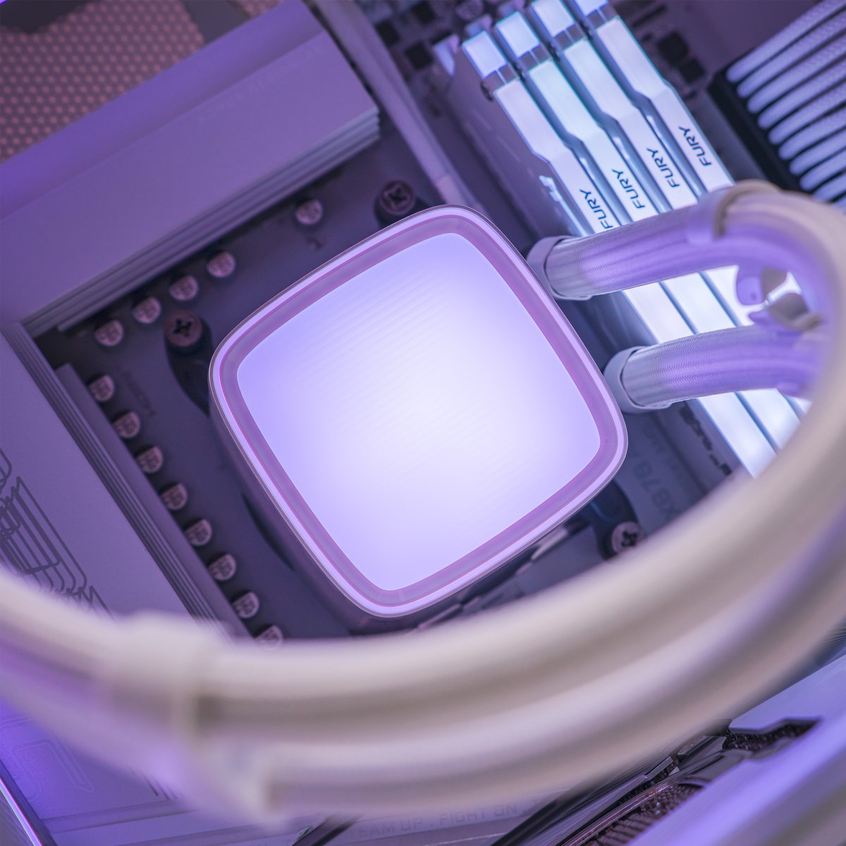 PLE Computers tweet media