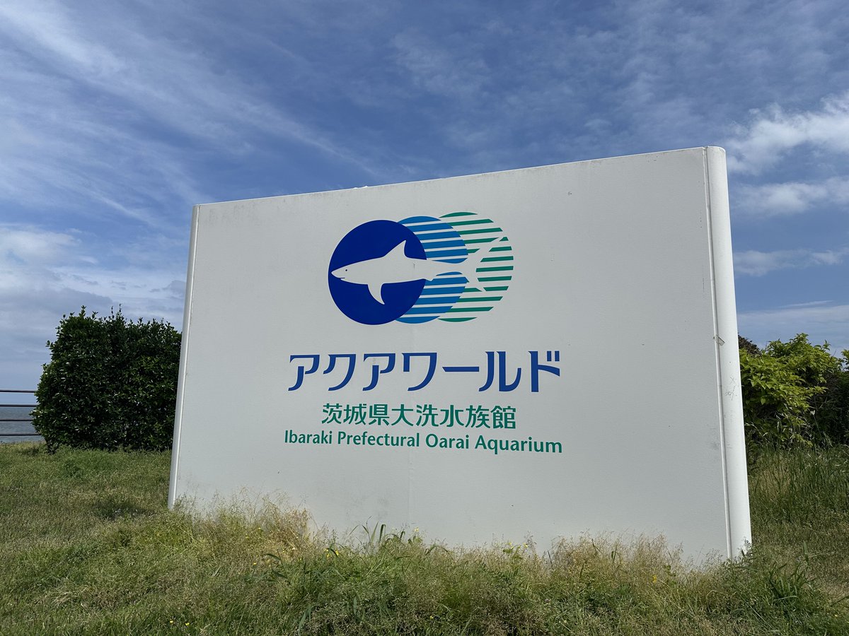 豚トロ tweet media