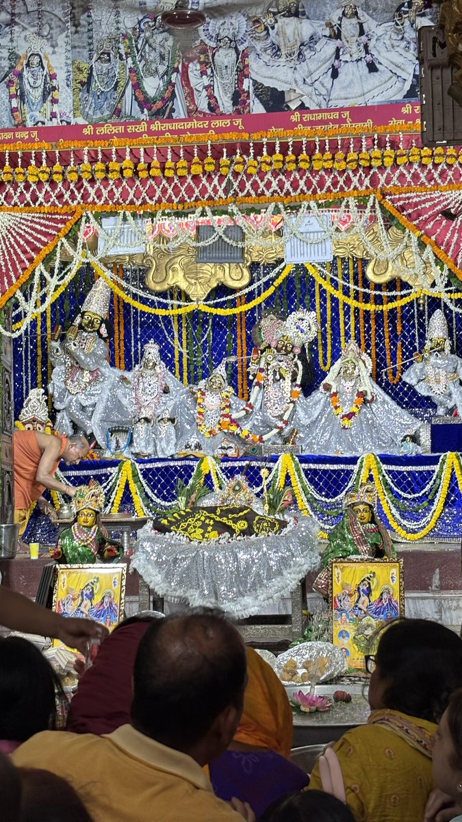brajras85's tweet image. ठाकुर राधा दामोदर लाल जू वृंदावन दर्शन 🌹04/05/26🌹 #vrindavan #viral #post #trending #radhadamodar