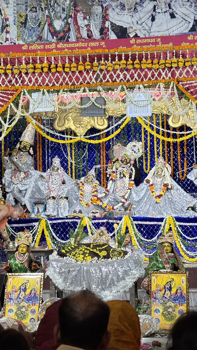 brajras85's tweet image. ठाकुर राधा दामोदर लाल जू वृंदावन दर्शन 🌹04/05/26🌹 #vrindavan #viral #post #trending #radhadamodar