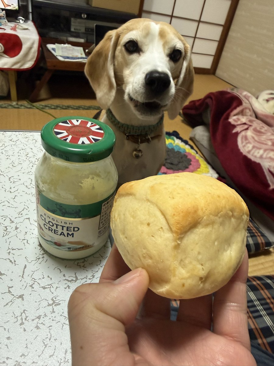 たかこも tweet media