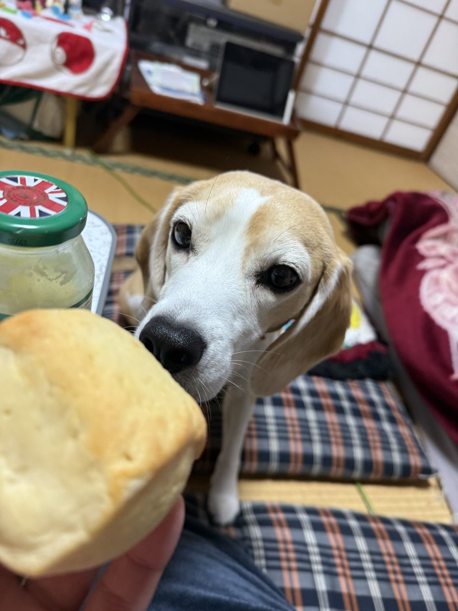 たかこも tweet media