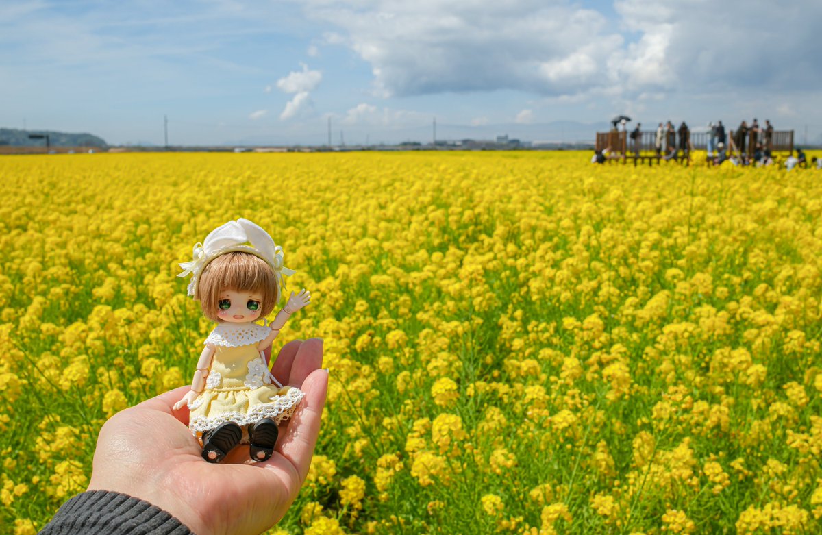 きりぽん tweet media