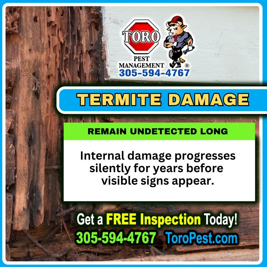 Toro Pest Management tweet media