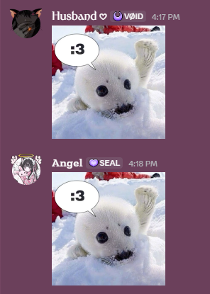 ── .✦ Angel tweet media