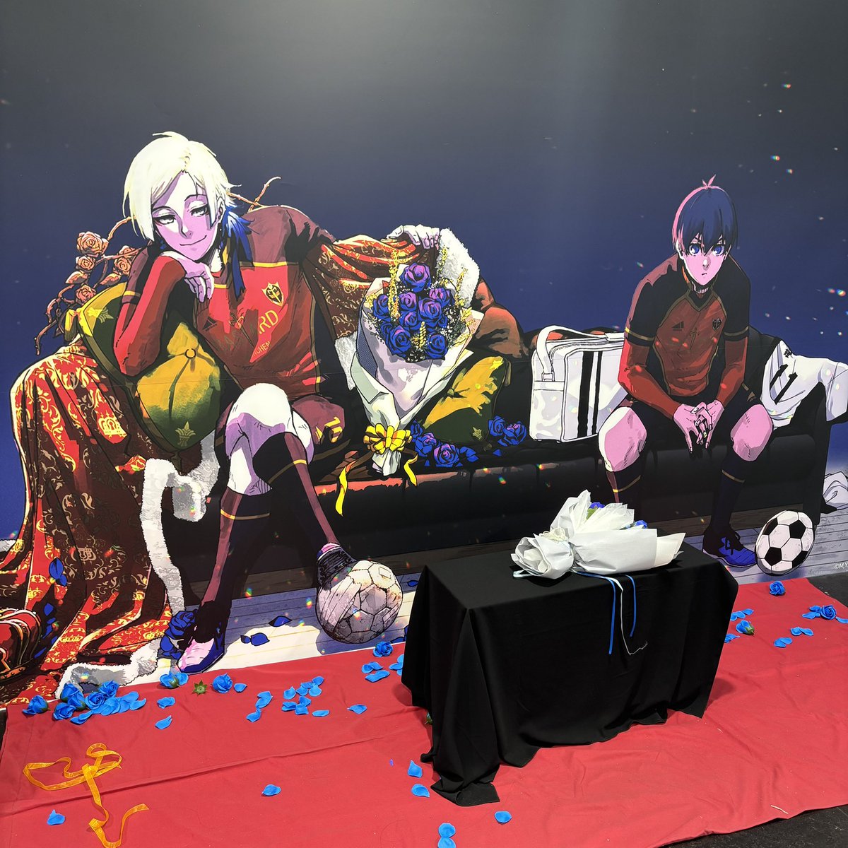 김히메 tweet media