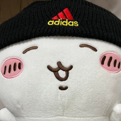 おさる男 tweet media
