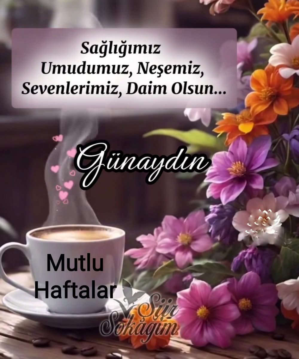 Mehmet tweet media