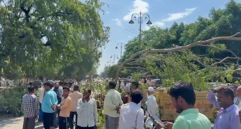 bstvlive's tweet image. अमरोहा
➡चलती कार, ट्रैक्टर पर अचानक गिरा पेड़
➡कार बुरी तरह क्षतिग्रस्त, अफरा-तफरी
➡बड़ा हादसा टला, कोई हताहत नहीं
➡गजरौला के मोहल्ला फाजलपुर की घटना
#Amroha | @amrohapolice
