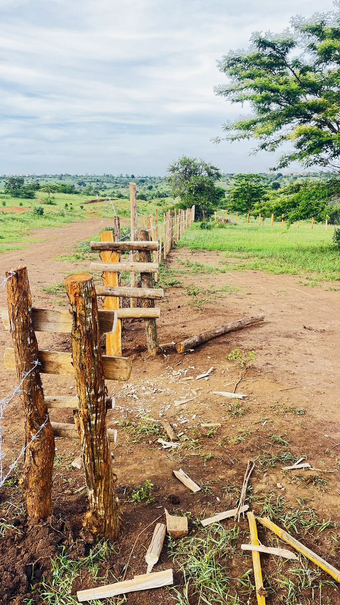 kim_kikwai's tweet photo. #HappyNewWeek

There's this old popular saying;

"Invest on land today because they are no longer manufacturing it."

New project coming up in the outskirts #BometTown.
As always, it will be bigger and bolder.
@exzonerealtors
Call, Text or WhatsApp 
       
         0713 805 805. https://t.co/7DLW0LBGqO