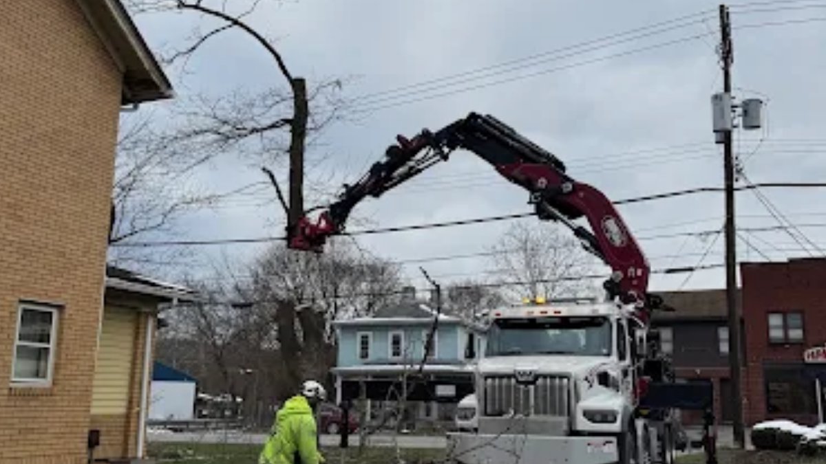 keystonetree1's tweet image. Branch Through the Roof 🌳🏠

Our team arrived on site in just 45 minutes.
✔️ Fast emergency response
✔️ Safe damage control
✔️ Property protected
Quick action helps prevent further damage.

#TreeService #EmergencyResponse