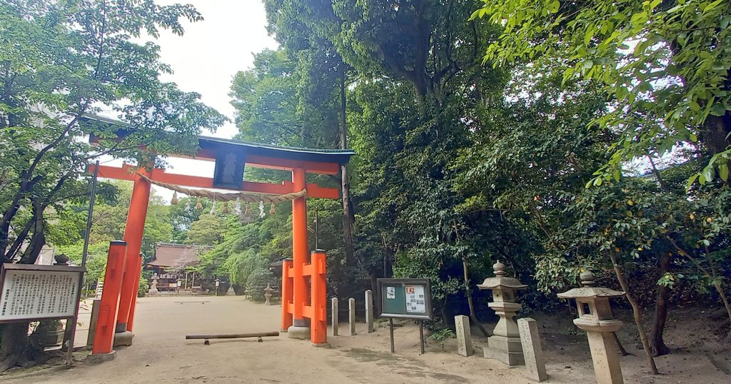 narakatsu_'s tweet photo. 廣瀬大社へ行ってきました
立派な参道を通って、ゆっくり参拝

近くの邂逅さんで、野菜もりもりのランチもいただいて😋
リフレッシュできました https://t.co/m7bvCkaSXM