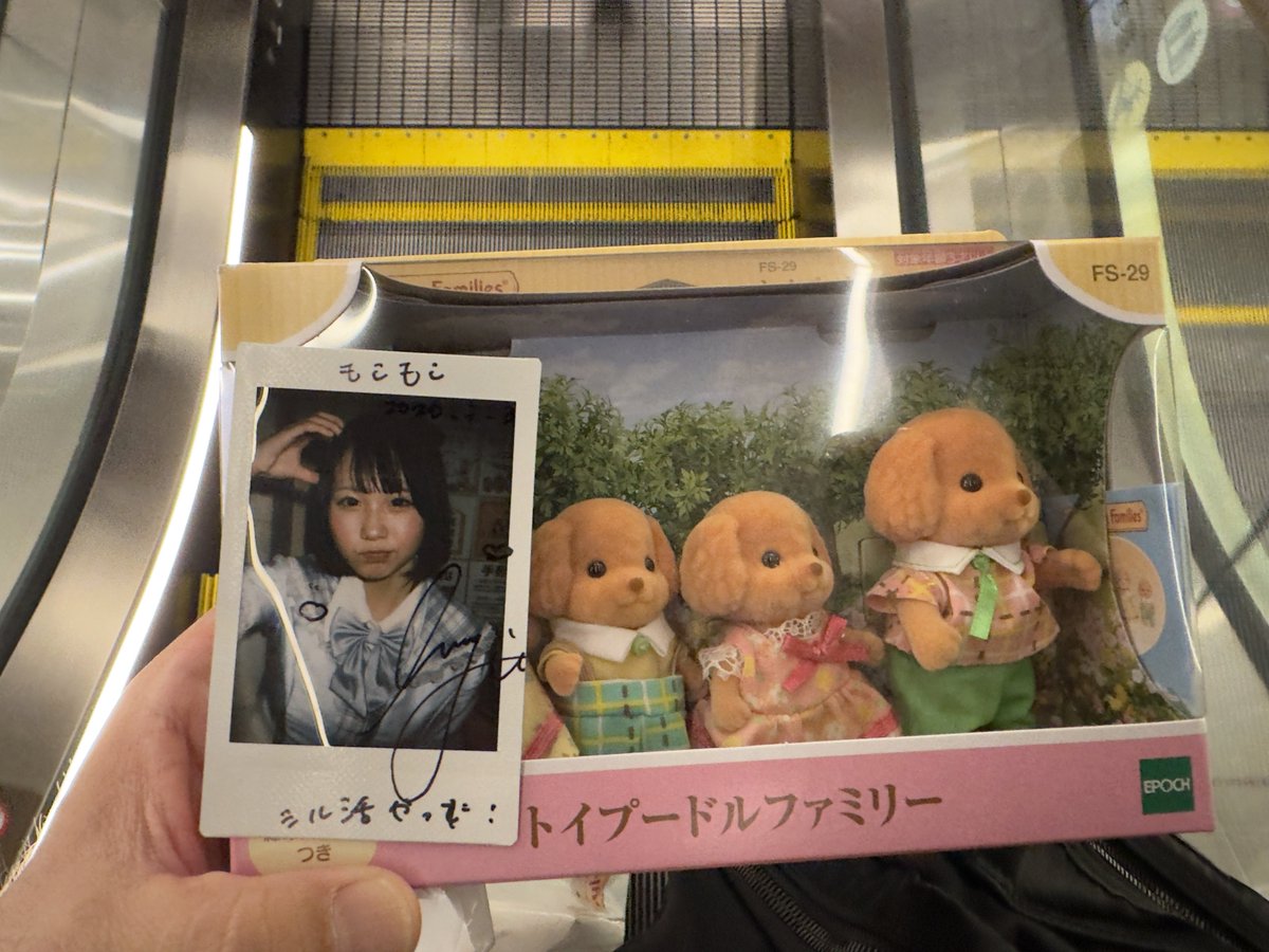 もこもこ tweet media