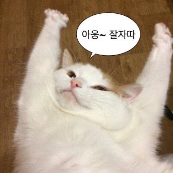 민서 tweet media