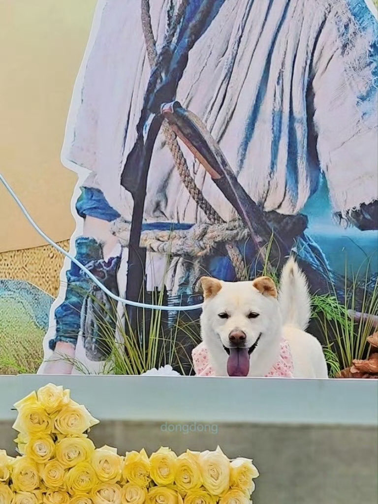 Candy_waa's tweet photo. 🐶
#Xiaobei #WuLei https://t.co/iw1NZ7J7pK