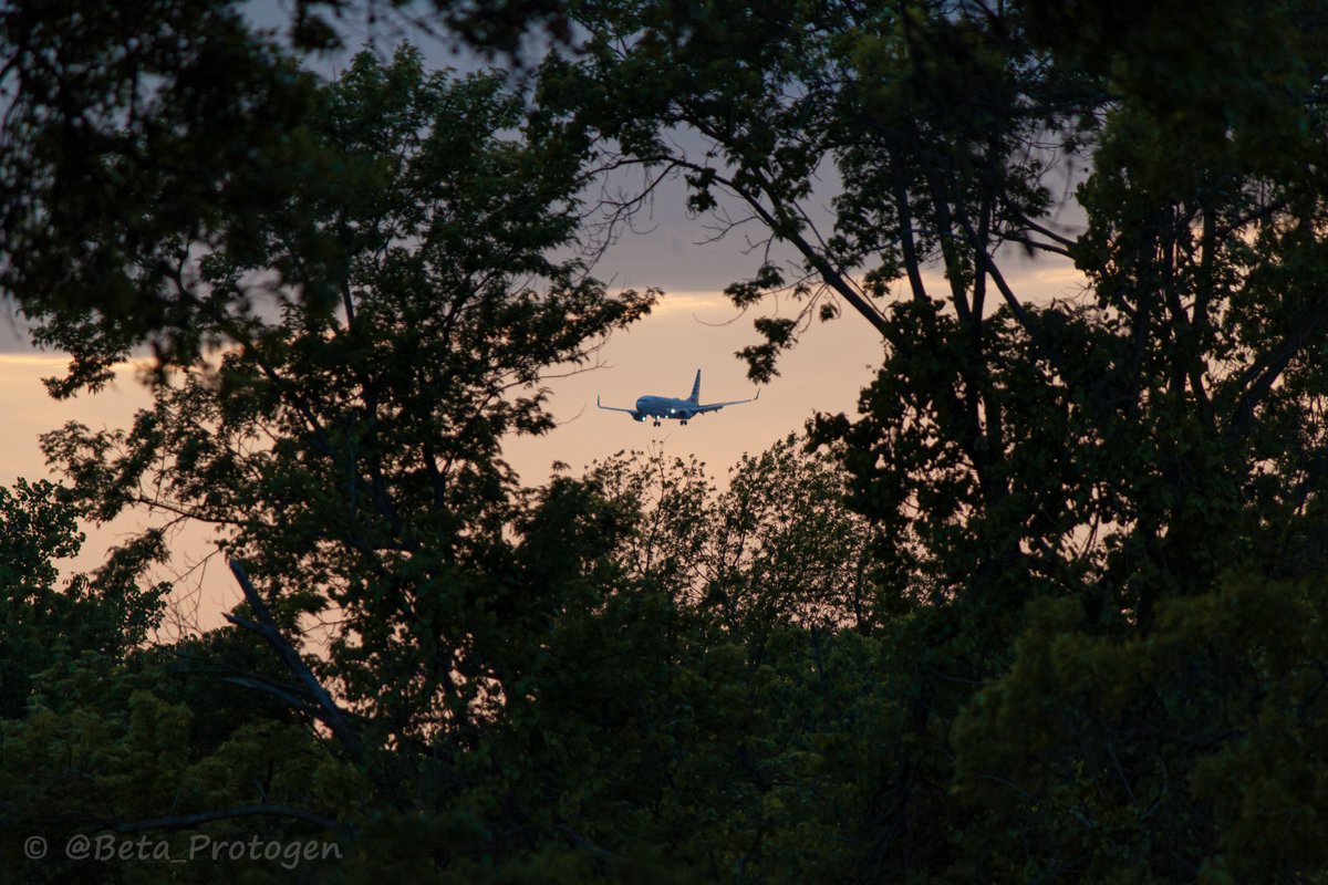 Beta_Protogen's tweet image. went planespotting for the first time!! really proud of these photos, saw way more unique planes than i expected at Lambert. Including a Dreamlifter flying overhead??

all of these are taken and edited by me :3

#avgeek #kstl #planespotting @flystl
