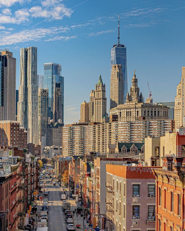 beauti_animals's tweet photo. 📍Lower Manhattan in New York City 🇺🇸 https://t.co/LEf8KBP5xL
