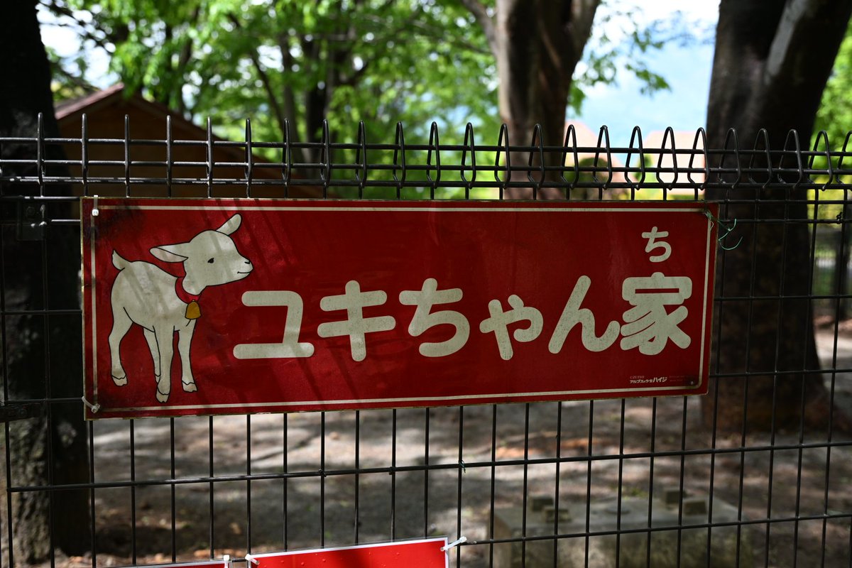 ヤギのユキちゃん🐐