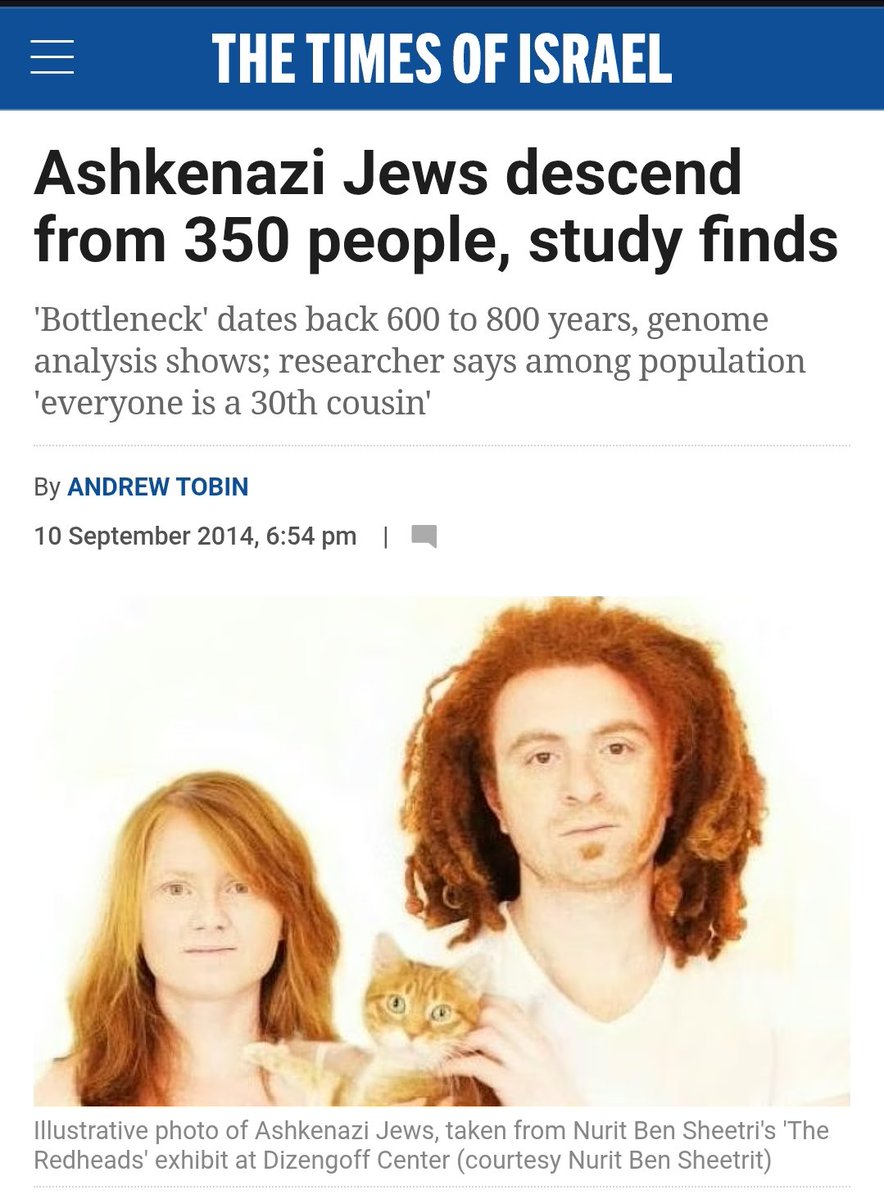 The 100th Monkey 🦊 tweet media