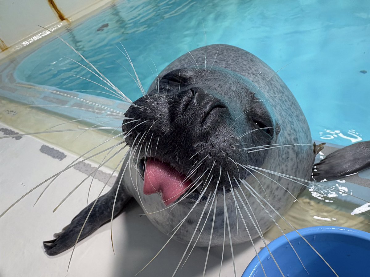 下田海中水族館 tweet media