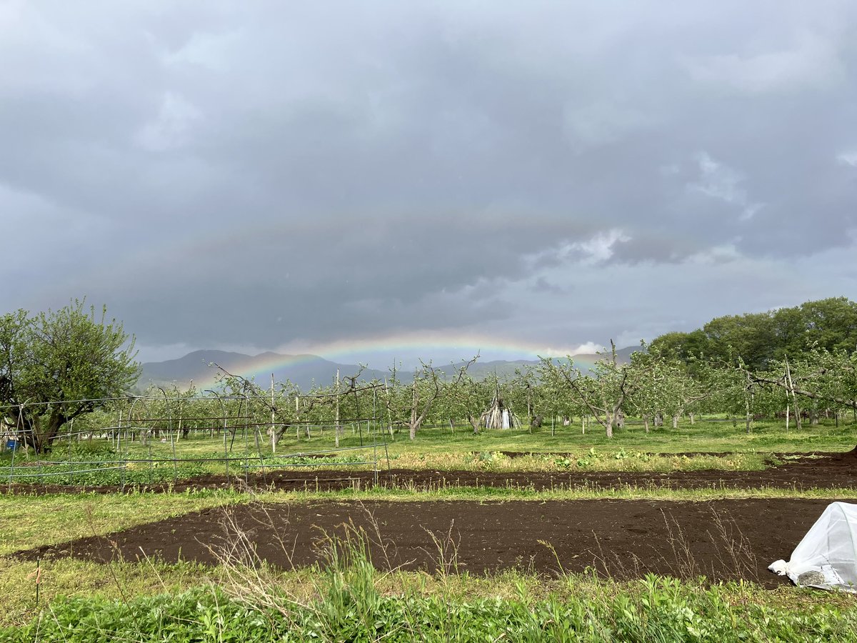 chisazn's tweet photo. 低い虹🌈ダブルレインボーは赤が下 https://t.co/Fe48nDMyeK