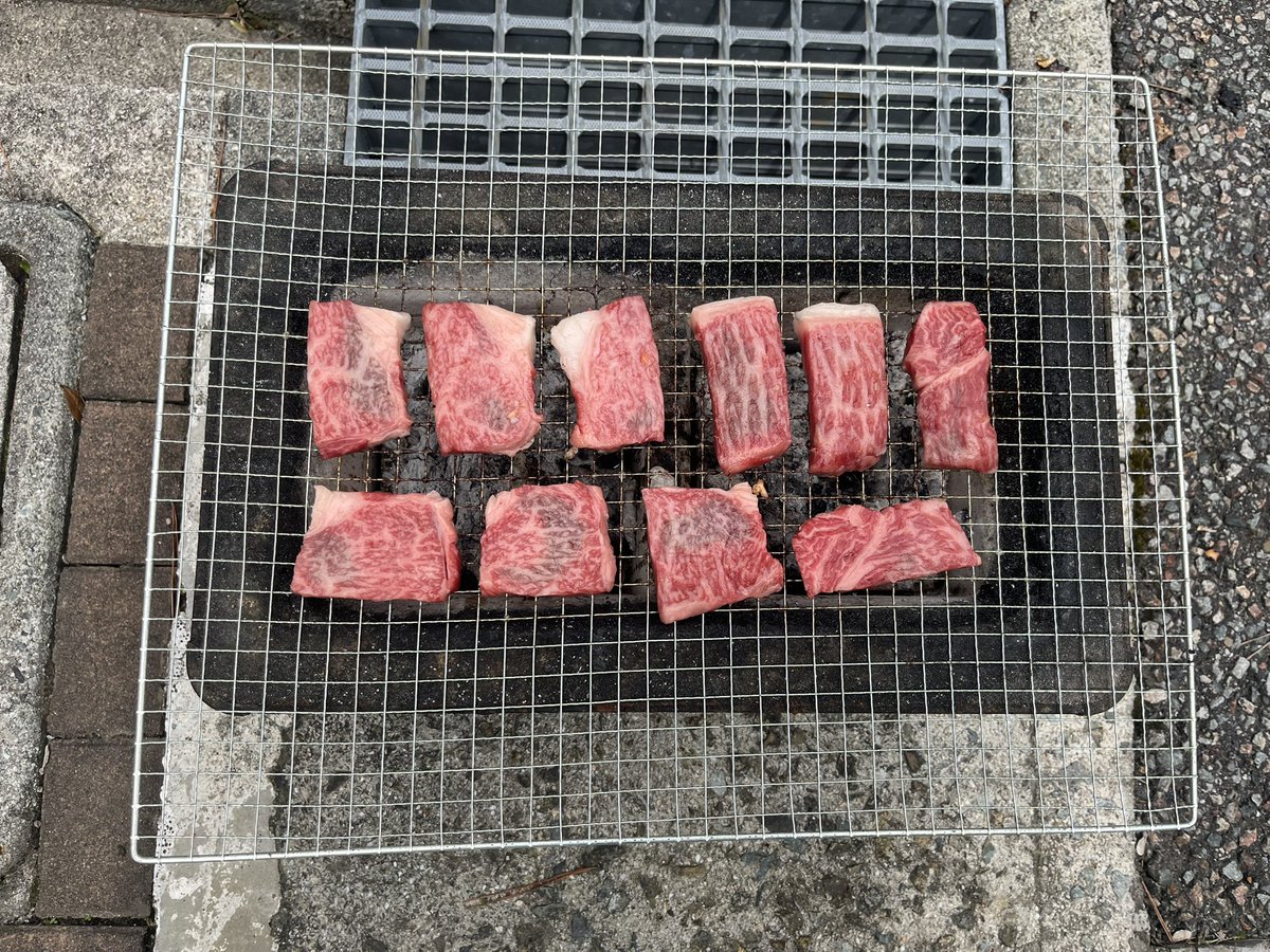 Ko_Rabbit_Ko's tweet photo. 🍖🐟 https://t.co/pNfvBowAT5
