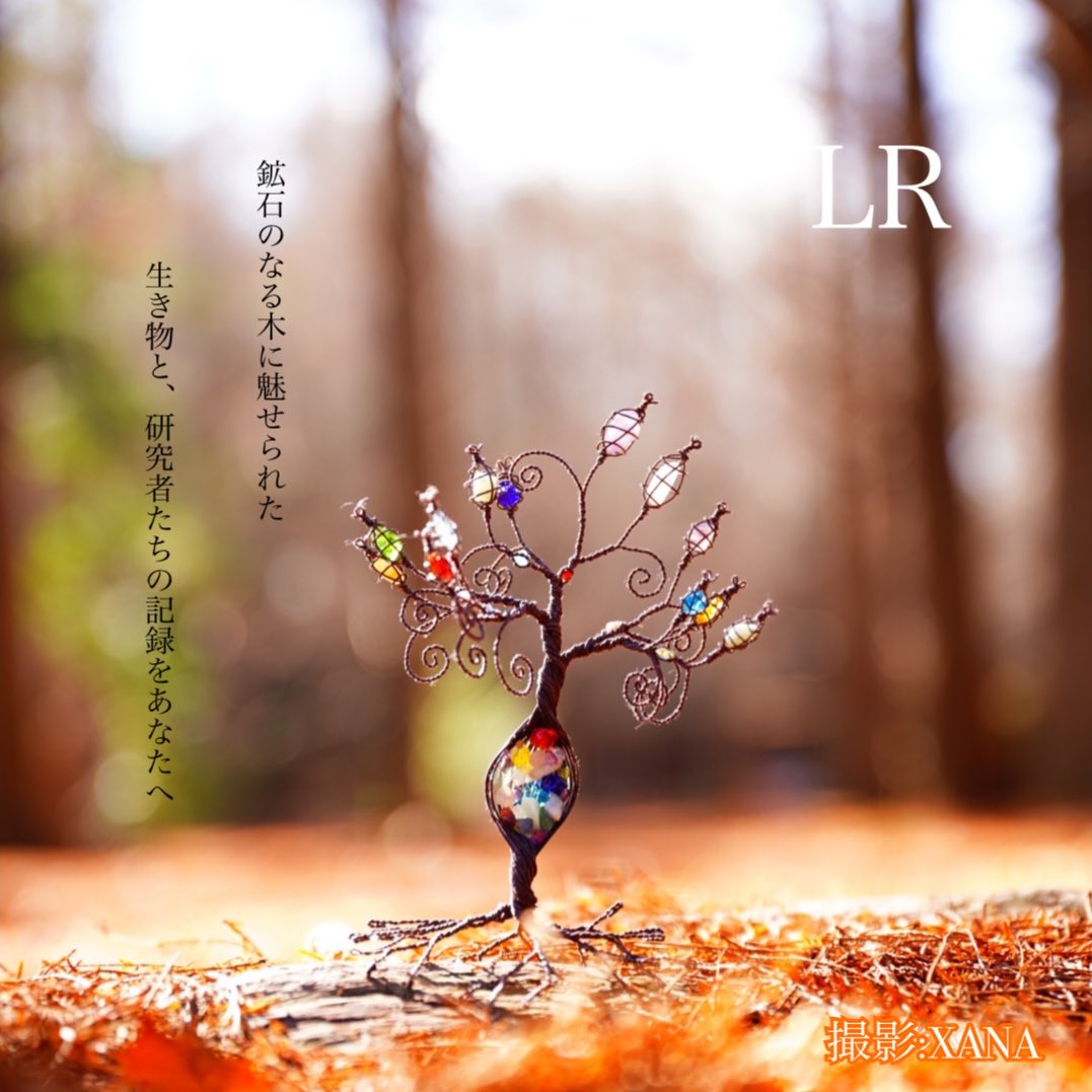 LR(エルアール) tweet media