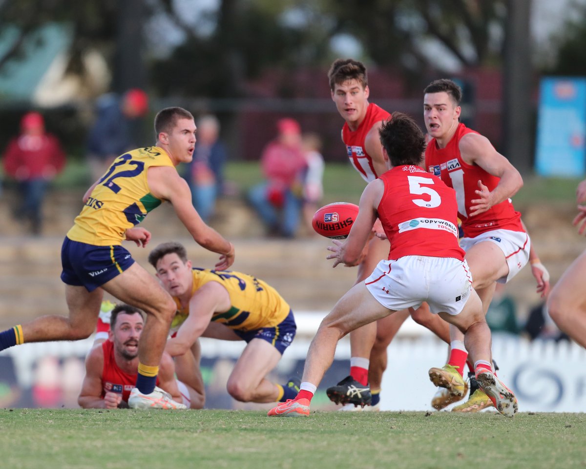 North Adelaide FC tweet media