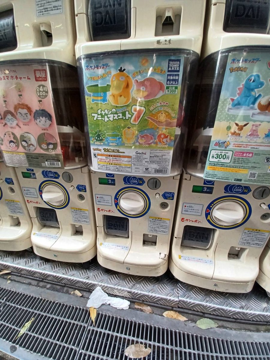 食物連鎖の1番上 のも tweet media