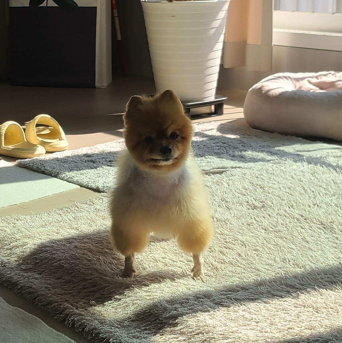 동연 tweet media