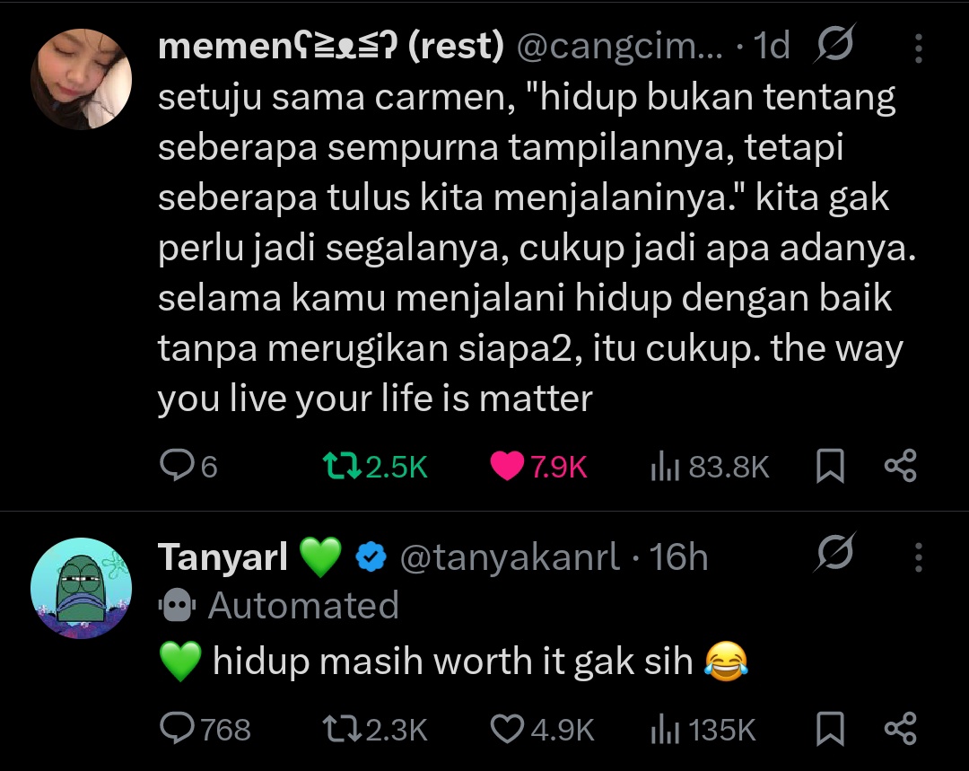 🪼 tweet media