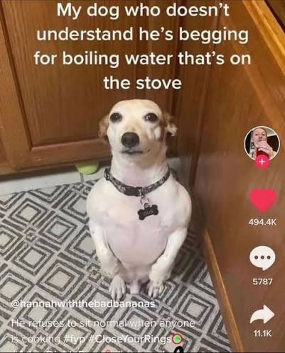 ♱ Solace / Ren ♱ tweet media