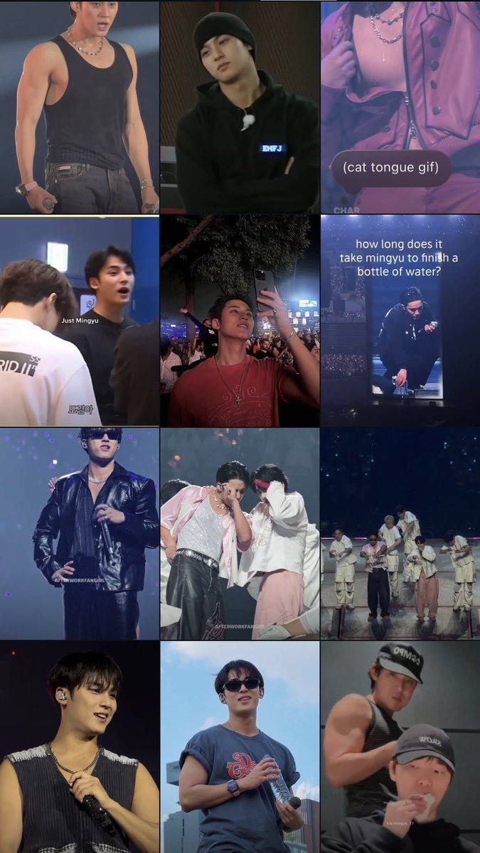 reumi saw mingyu 3x! tweet media
