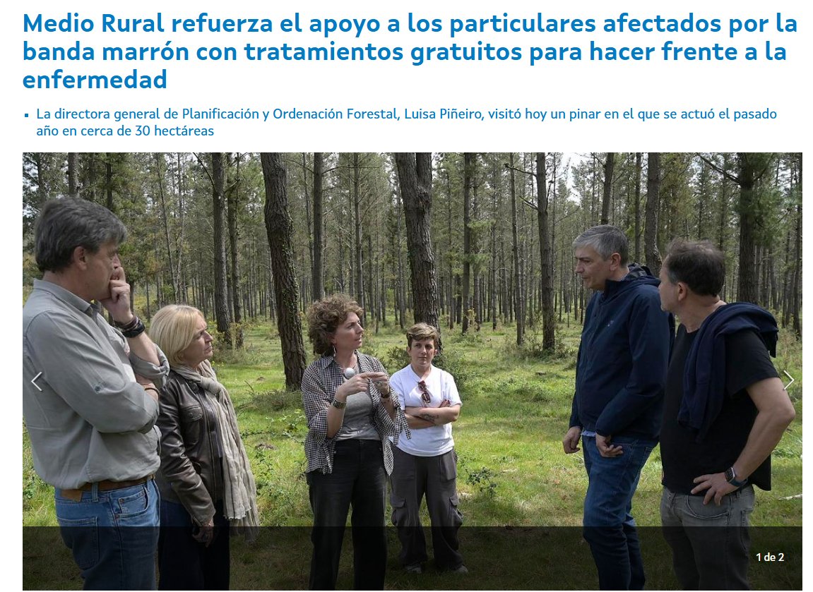 Goconiferas's tweet photo. 📣 La Consellería do Medio Rural de la @Xunta refuerza su apoyo a los particulares afectados por la #bandamarrón, ofreciendo por segundo año consecutivo tratamientos gratuitos para hacer frente a esta enfermedad. #coníferas #Galicia https://t.co/gSLWb5tGvY https://t.co/WcFD8vTC0i