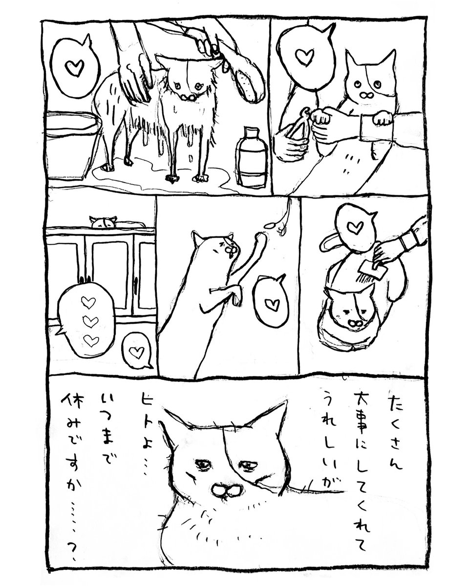 橋本もく tweet media