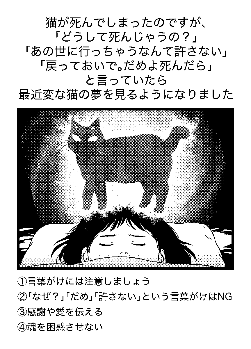 占い師と弟 tweet media