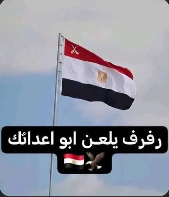 EssamJamal8's tweet photo. @M_nasseraly موت بغظيك يا ابن الورمه مصر 🇪🇬 فوق راسك والسيسىً عمك يا امعه لا تنسى تاريخك القذار https://t.co/qj8W7hOvO9